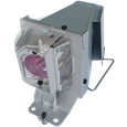 ACER DSV1725 projector lamps