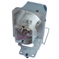 ACER MF-342 Lamp with housing
