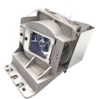 BENQ W2710 Lamp with housing