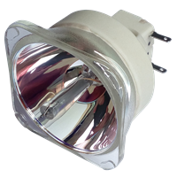 CHRISTIE LW601i Lamp without housing
