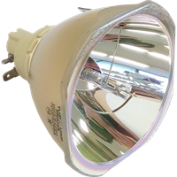 EPSON EB-Z10005U (portrait) Lamp without housing
