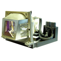 HP xp7010 Lamp with housing