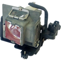 LG DX-125-JD Lamp with housing