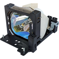 LIESEGANG DV 335 Lamp with housing