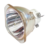 NEC PA703WG Lamp without housing