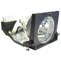 PANASONIC PT-L7 Lamp with housing