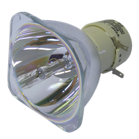 PHILIPS-UHP 190/160W 0.9 E20.9 Lamp without housing