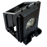 SAMSUNG SP-50L3HXX/AAG Lamp with housing