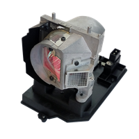 TRIUMPH BOARD PJ250-W Lamp with housing