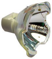 VIEWSONIC PJ862 Lamp with housing