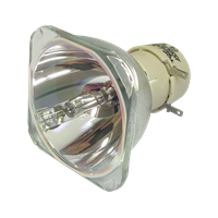VIEWSONIC PJD5550LWS Lamp without housing