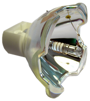 VIEWSONIC RLC-003 Lamp with housing
